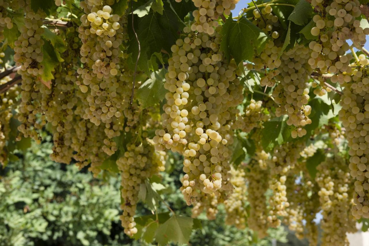 Masseria Lilei Lizzanello Екстер'єр фото
