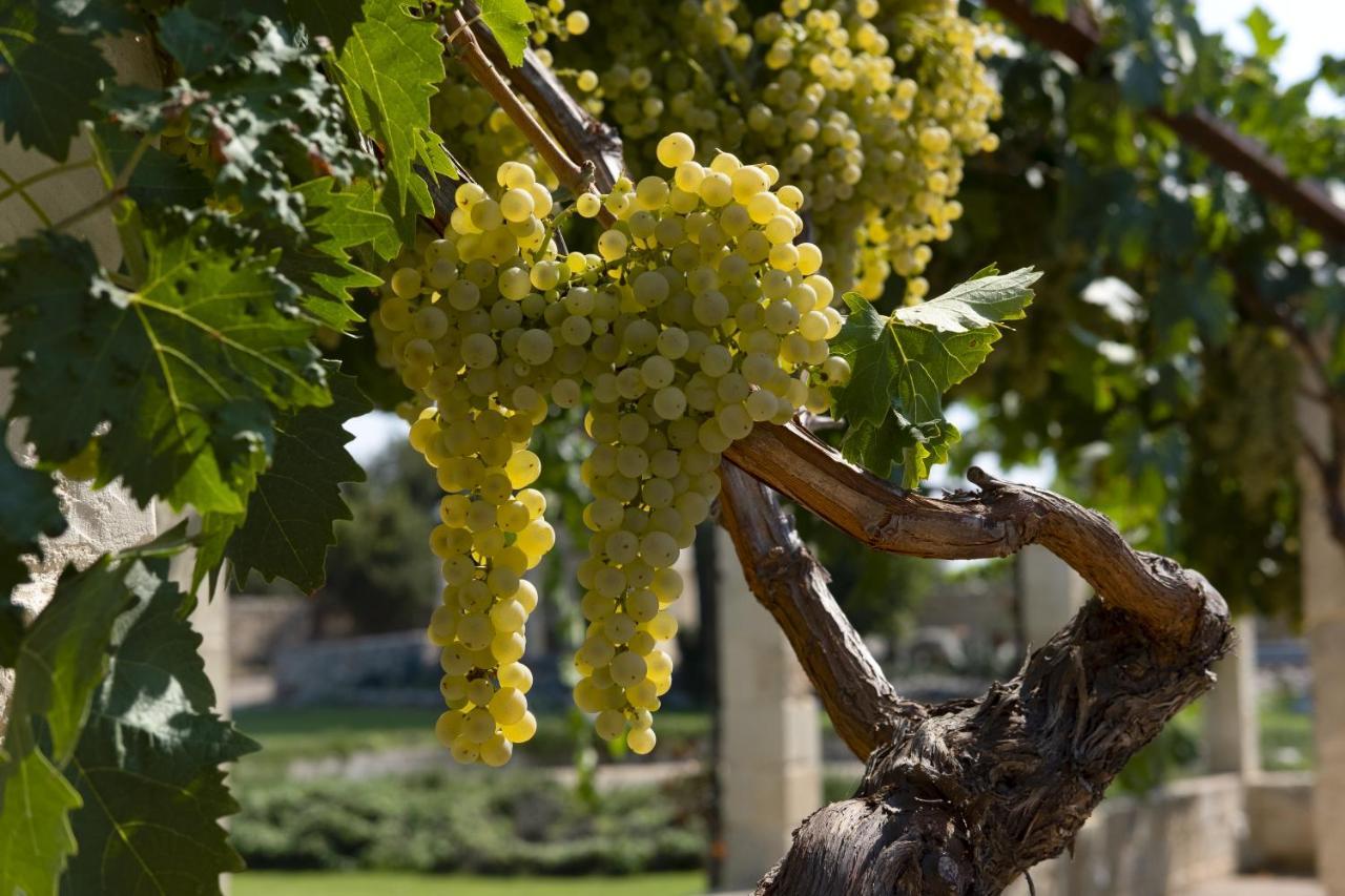Masseria Lilei Lizzanello Екстер'єр фото
